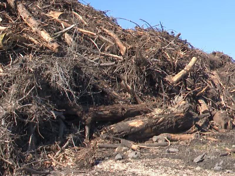 O’burg eyes changes in yard debris pickup