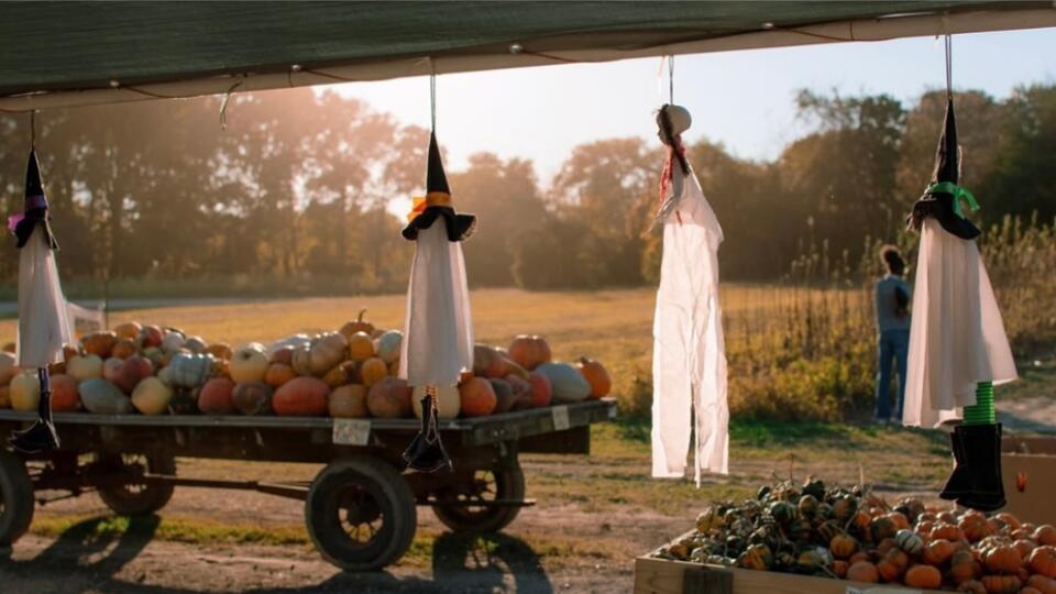 RVA fall activity guide - NewsBreak