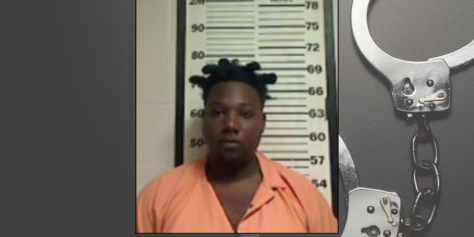 Waycross man charged with murder in Madison County crash turned ...