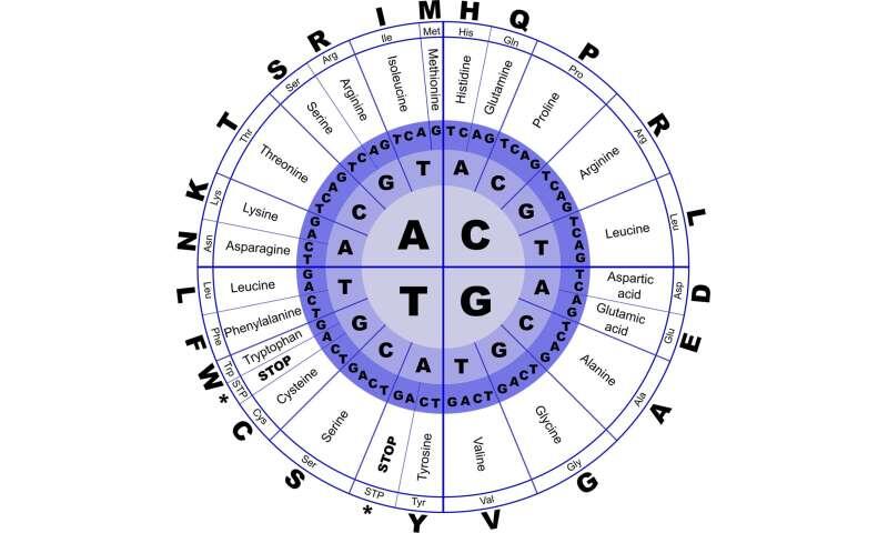 AI model learns yeast DNA 'language' to boost protein drug output ...