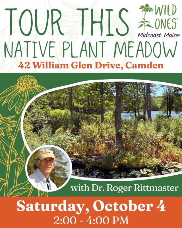 Tour Roger Rittmaster’s restored native plant meadow in Camden - NewsBreak