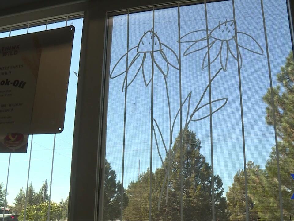 Bend’s Think Wild offers some options to protect migrating birds from