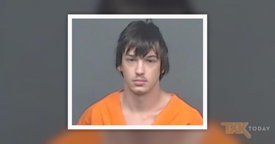 Jury Gives Man 10 Years, $90K Fine, For Torturing & Killing Dogs