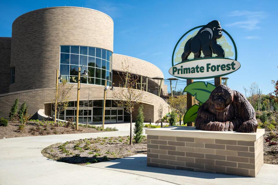 See the new Cleveland Metroparks Zoo Primate Forest - NewsBreak