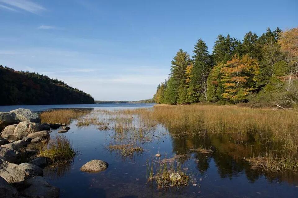 This Maine Lake Was Named One of the Best for Swimming in America ...