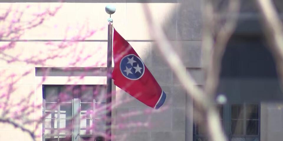 Two Tennessee men sentenced for stealing black walnut tree from state ...