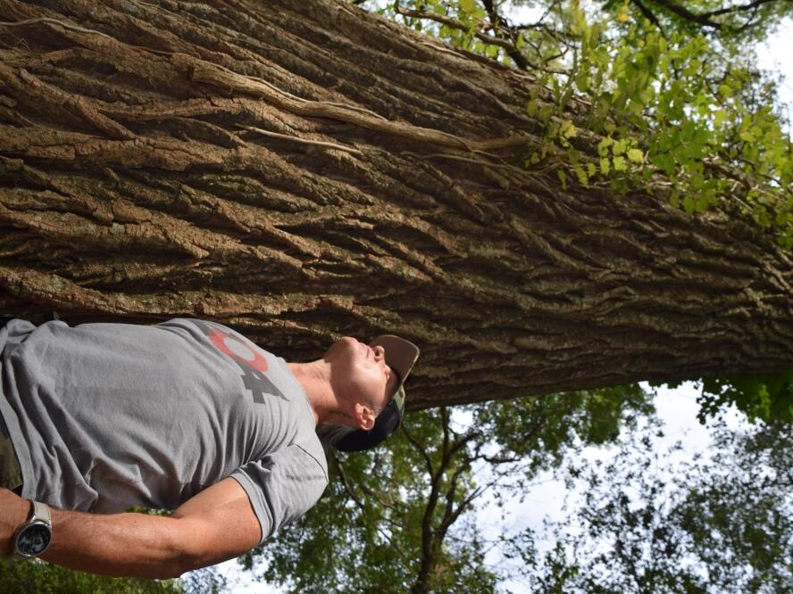 Bastrop 552 film studios no longer waiting in the wings, building to begin