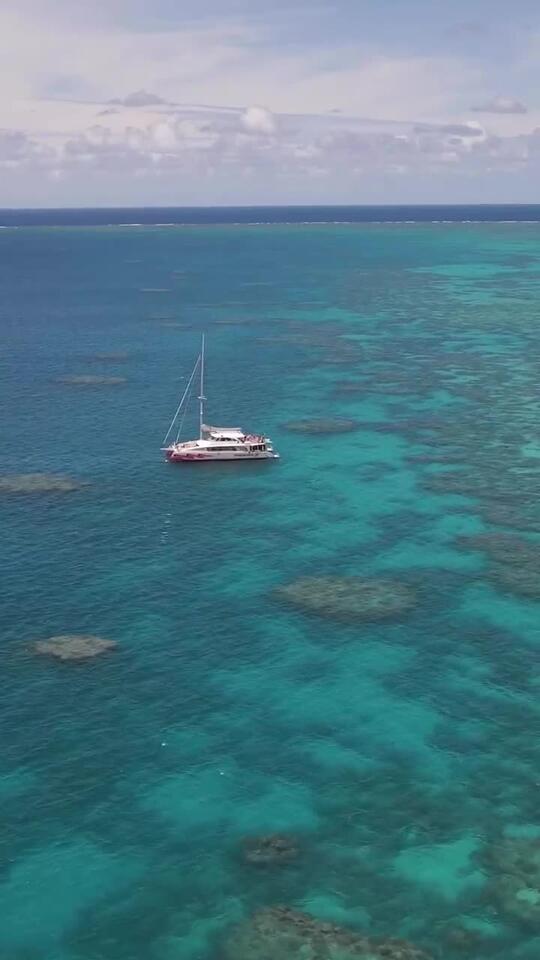 After nearly 15 years, Myrtle the green sea Turtle was released back to