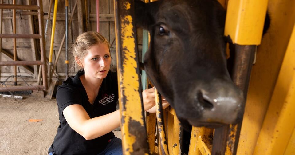 Zena Herrera, an assistant professor of meat science and muscle biology ...