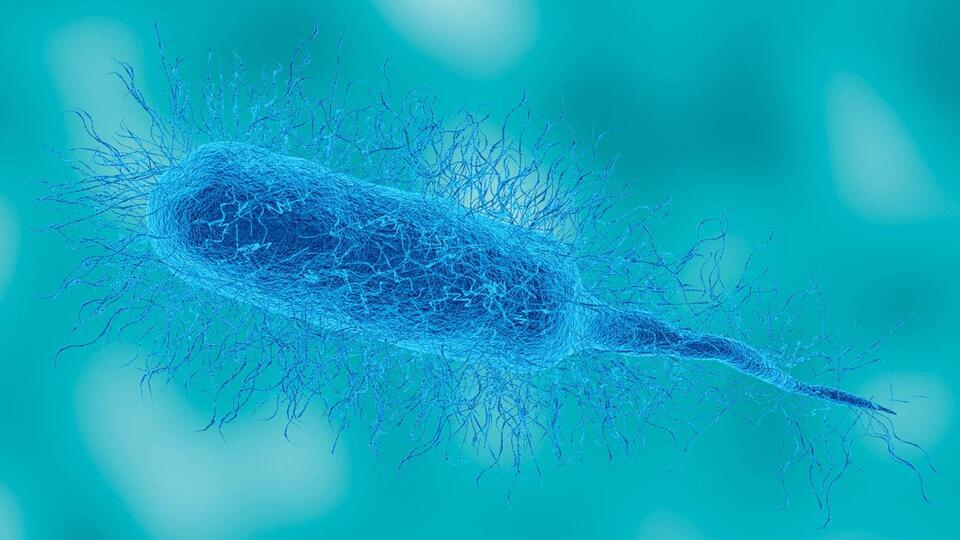 7 die from 'flesh-eating' bacteria in 2 states. Here's what to know