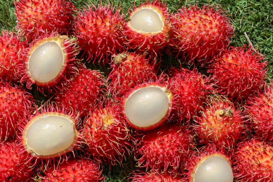 12 Rare Fruits You'll Never See at Your Local Walmart - NewsBreak