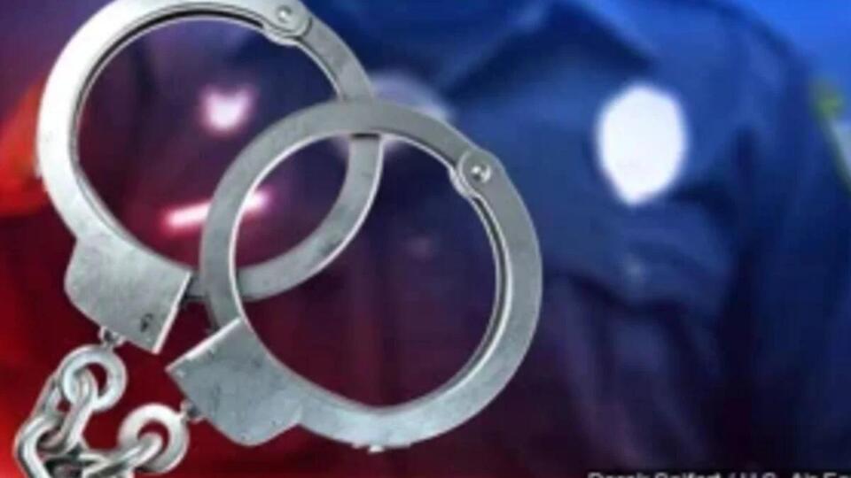 Man with machete arrested near the Lake Superior Zoo in Duluth