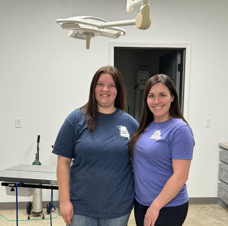Williams Family Veterinary comes to Licking - NewsBreak