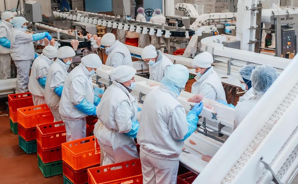 California frozen-food factory to close, cutting 207 jobs - NewsBreak