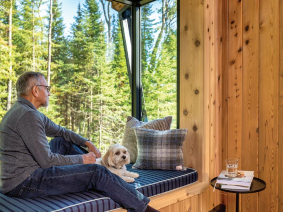 The Ultimate Guide to Marvin Skycove Windows A MustHave Home