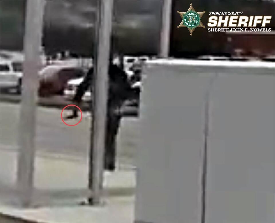 Suspect arrested after pointing replica gun at cars - NewsBreak
