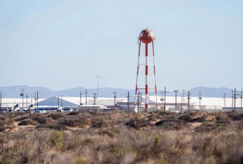 DHS watchdog to review ICE detainee deaths, use of force