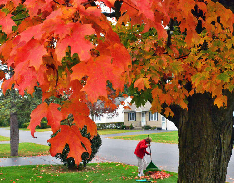 What is ‘false fall’ — and is the Capital Region about to be in it ...