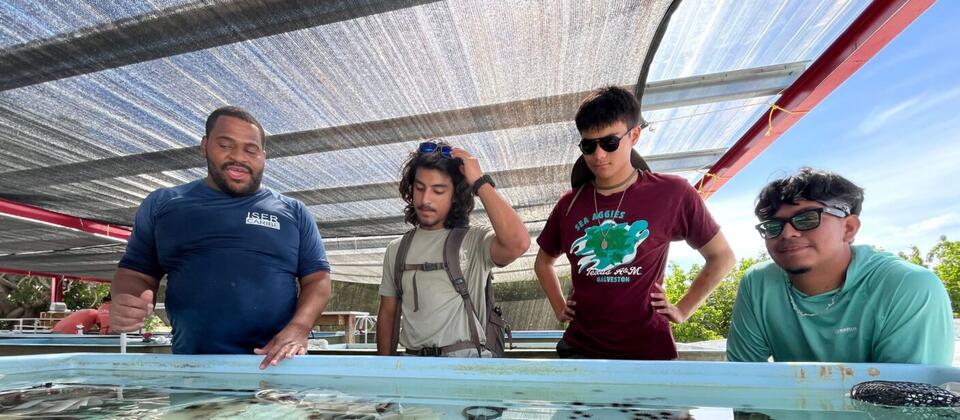 Writing Under Water: Research Skills Honed During Puerto Rico Trip