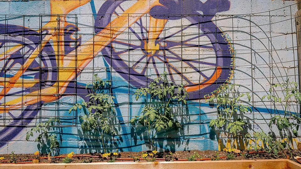 Where every meal begins: Inside Topsoil’s edible garden