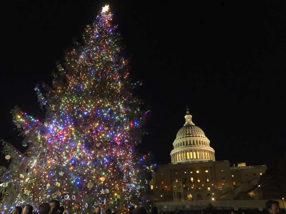 PHOTOS 2024 Capitol Christmas tree lighting in DC