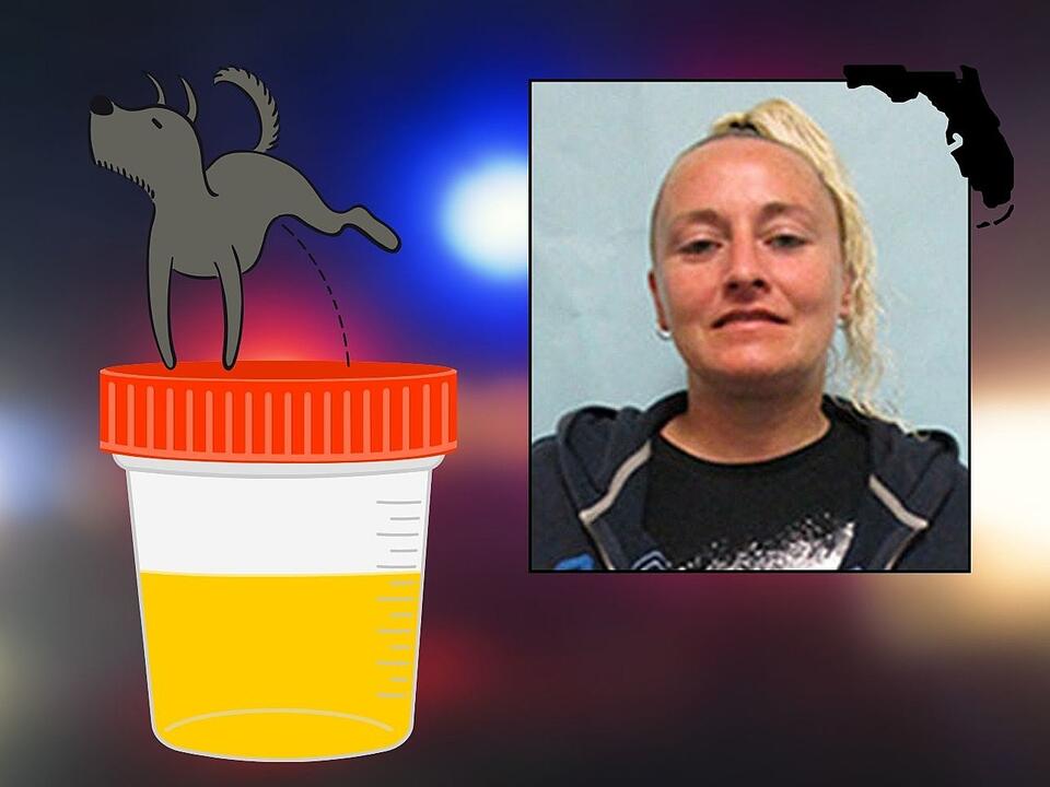 Florida Woman Fakes Her Drug Test By Replacing Her Urine With Dog Pee