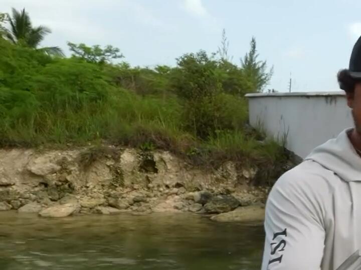 Check out the fish this guy pulls up from the flooding from the hurricane! Florida Hurricane 