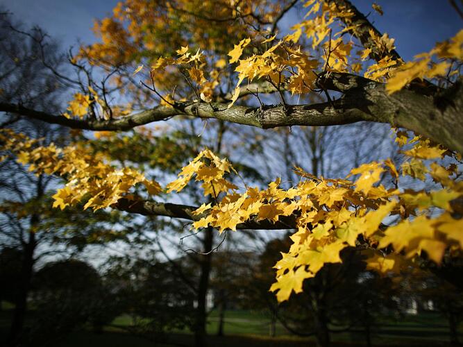 Oakdale Daily Weather Forecast