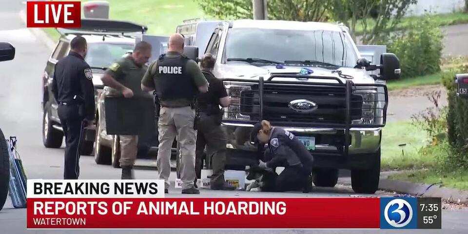 Man charged with 50 counts of animal cruelty after dogs, cats removed ...