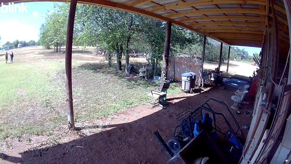 Buda barn burglars caught on video; firearms reportedly stolen: sheriff ...
