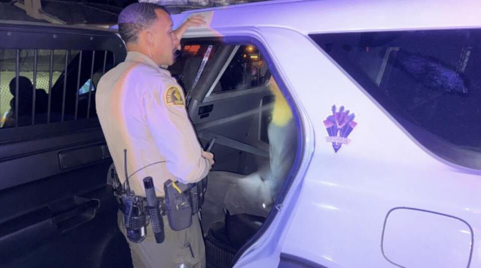 Scott Binder’s Bail Set at Over $1M After Fatal Dog Shooting in ...