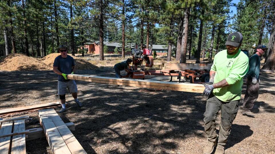 Students mill trees for new South Shore bus shelter in Trees to Transit ...