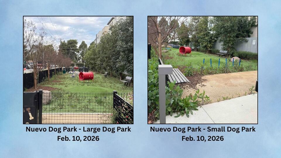 Dog Park Where Poison was Discovered Reopens — but Nuevo Dog Park Remains Closed