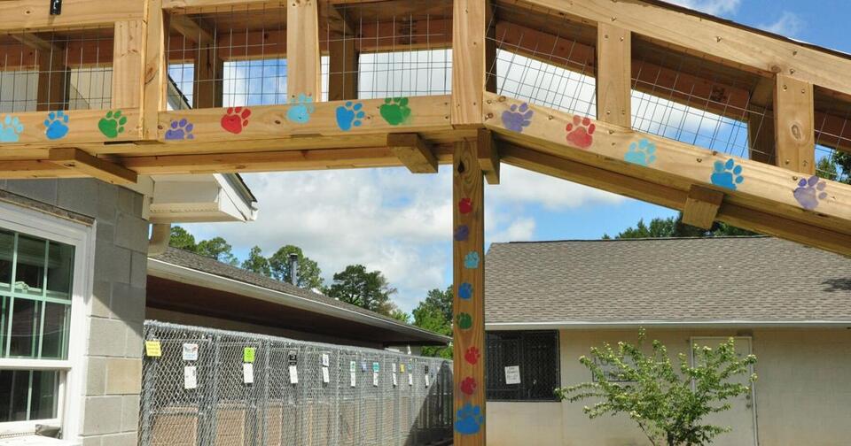 Humane Society spruces up, prepares for ribbon cutting - NewsBreak
