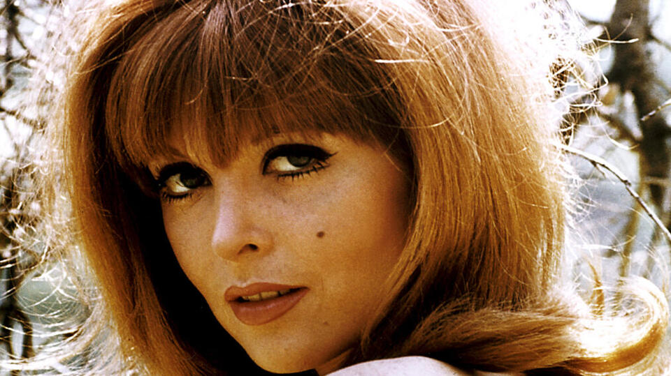 Remember Ginger From Gilligan’s Island? This Is Her Story - NewsBreak