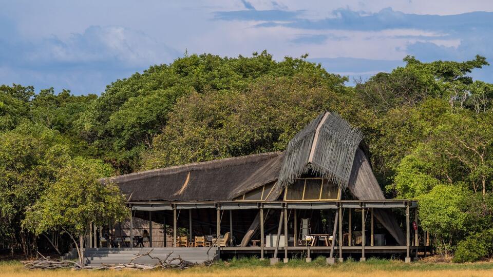 More Than 47,000 Wildebeest Cross This Zambian Park Every November ...