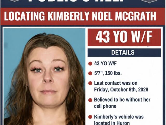 Huron Township police search for missing Southgate woman as weather worsens