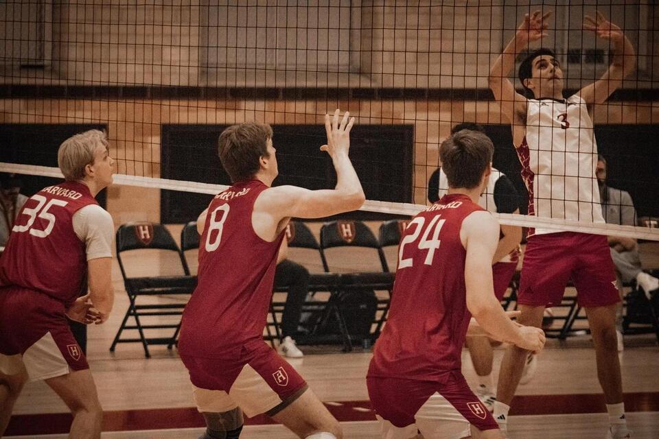 Harvard Drops Both in EIVA Opener - NewsBreak