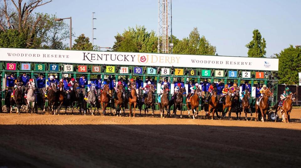 Commandment profile: 2026 Kentucky Derby odds, post position, history ...