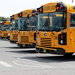 📅 Try Driving a School Bus in Leola This May - NewsBreak