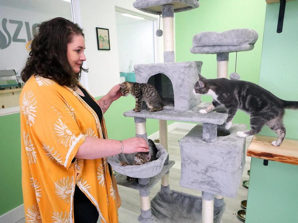 Tree House Humane Society Week 18’s Touchdown For Tails Chicagoland