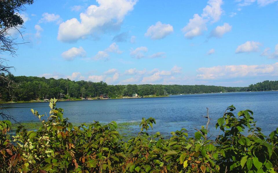 Crookneck Lake continues to recede as district plans weed treatment