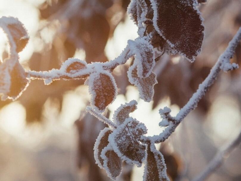 La Niña Set to Return to California 60 Chance of Impact Through Early