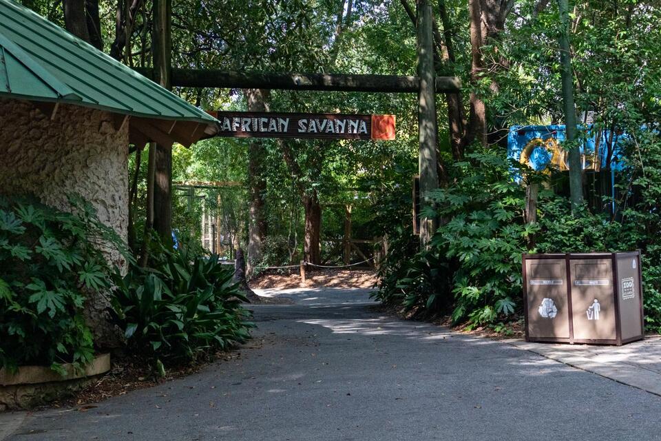 Zoo Atlanta Library Pass Program Ends After 14 Years - NewsBreak