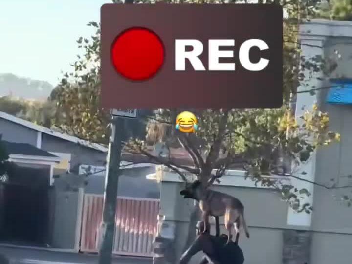 Things you see in Austin, Texas