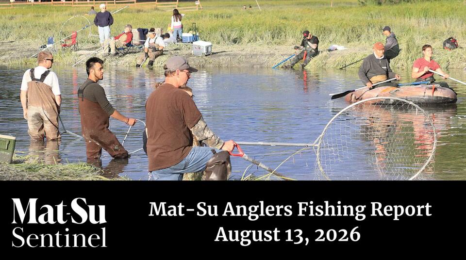 Fish Creek run holds strong as coho concerns grow elsewhere