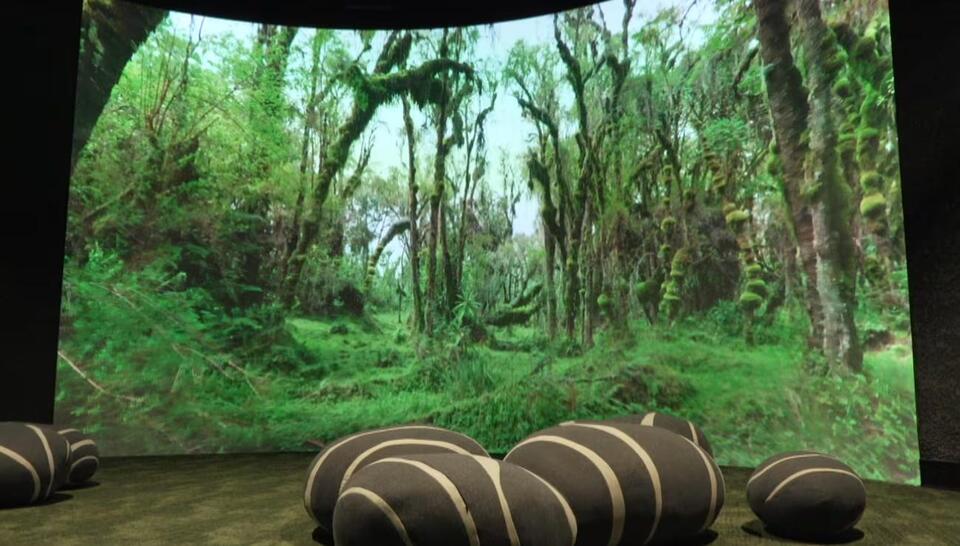 Largest project in zoo history: Cleveland Metroparks Zoo to open new ...
