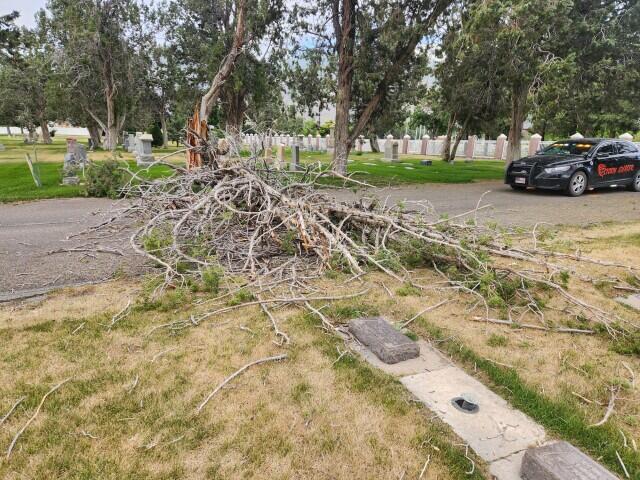 Strong winds wreak havoc across Utah - NewsBreak