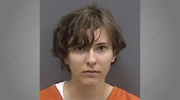 Tampa Woman Faces Prison For Vicious Death Threats To New York Victim ...