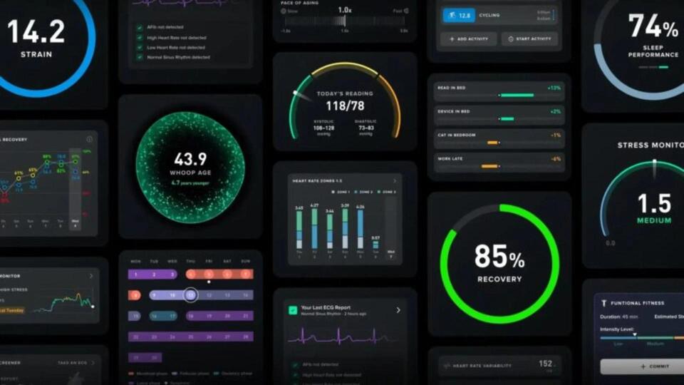 Whoop Wearable Adds On-demand Doctors, New AI Tools, and a Rugged Band ...